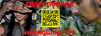 СК Краснодар