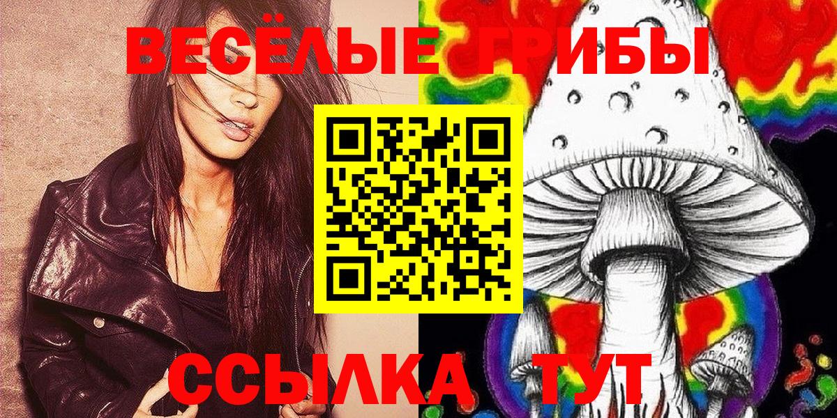 Галлюциногенные грибы мухоморы  Вход с VPN  Каменск-Шахтинский 